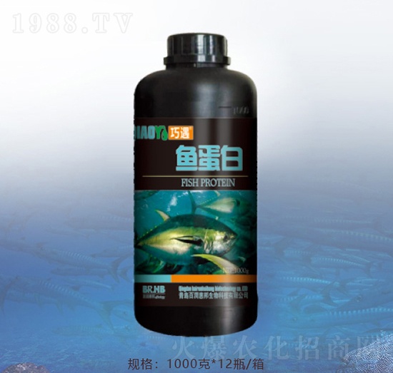 1000���~����-�ٝ��ݰ�