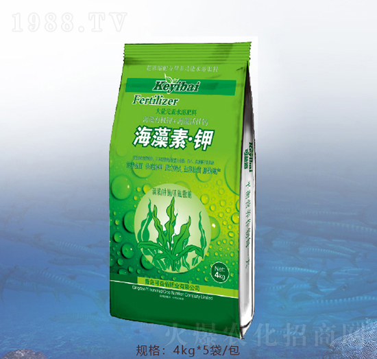 �����ء��-�ٝ�(r��n)�ݰ�