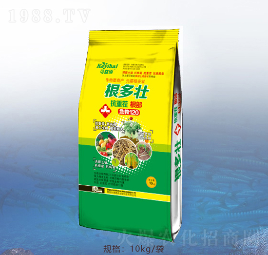 ������-�ٝ��ݰ�