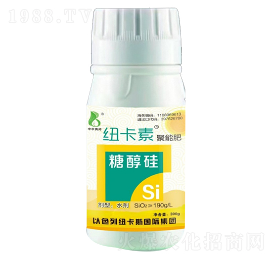 �Ǵ���-���r(n��ng)�W��