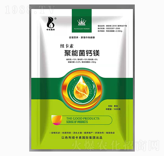 ���ܾ��}�V-�~����-���r�W��