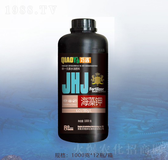 �����-�ٝ��ݰ�