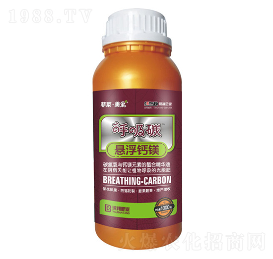 ����̼�Ҹ��}�V�_ʩ��-���R������-�ְ�ʘI(y��)