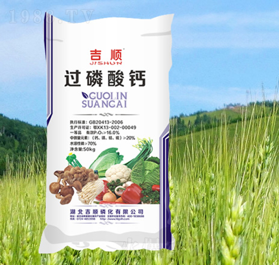 50kg�^(gu��)�����}-���