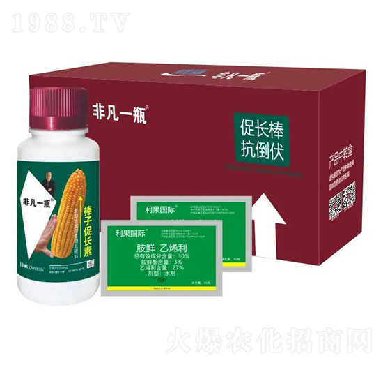 ���Ӵ��L��-�Ƿ�һƿ-�������H