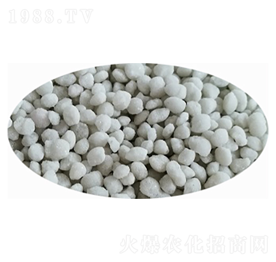 ���@����ɫ���{ɫ��-���S�Ƽ�