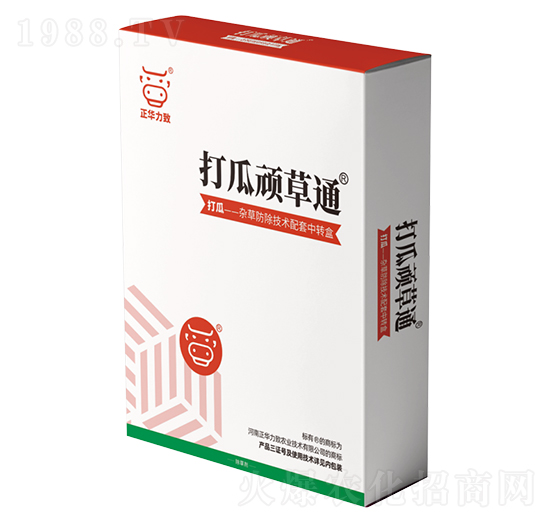 ����B��ͨ-���A����