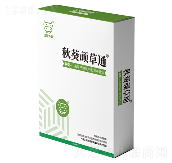 ����B��ͨ-���A����