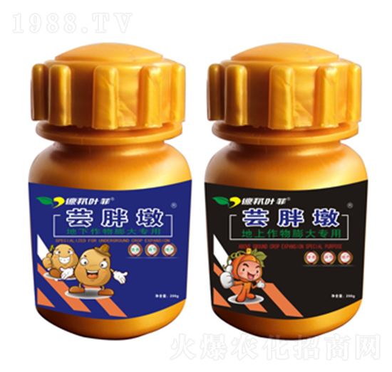 �|�ֶ����a��-�°��~��