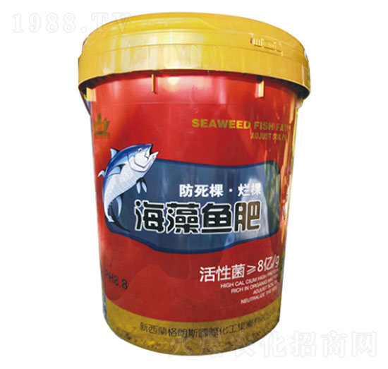 �����~(y��)��-ʥ�ɶ�