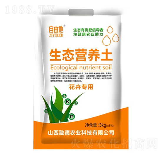 ���܌������B(t��i)�I�B(y��ng)��-���ɵ�-�ڵ��r�I(y��)