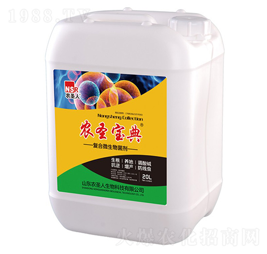 ��(f��)��΢�������-�r(n��ng)ʥ����-�r(n��ng)ʥ��