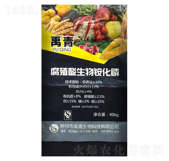 ��ֳ�������@����-��������