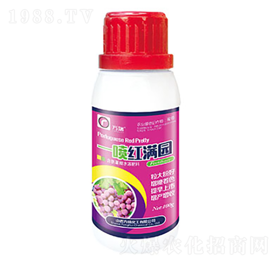 һ���t�M�@-����