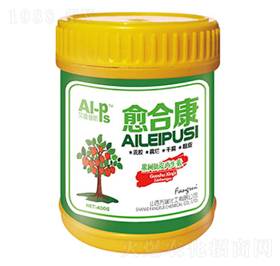 ���Ͽ�-����