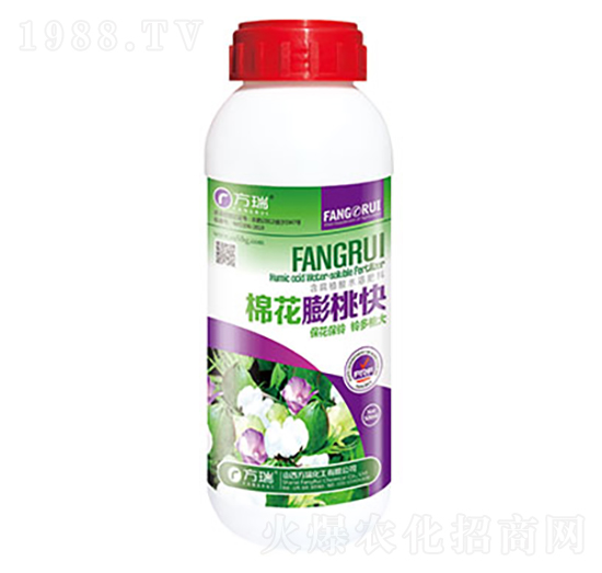 �޻����ҿ�-����