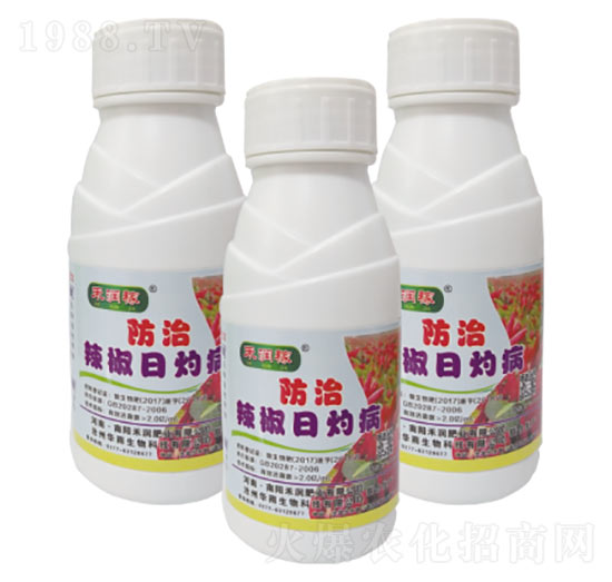 �������Ʋ�-�̝��ʘI(y��)