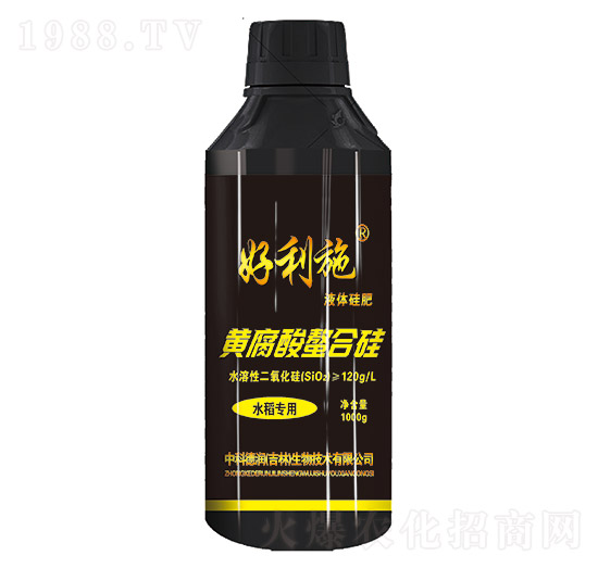 �S�������Ϲ�-���ʘI(y��)