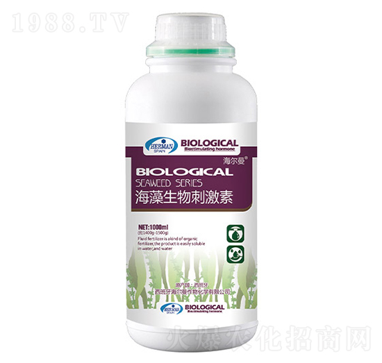 ��������̼���-������-�n��ʘI(y��)