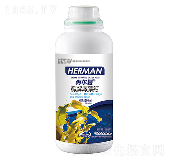 1000mlø�⺣���}-������-�n��ʘI(y��)