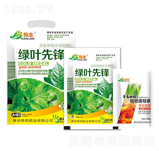 �G�~���h-�n��-�n��ʘI(y��)