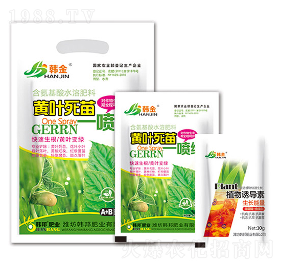 �S�~����һ���G-�n��-�n��ʘI(y��)