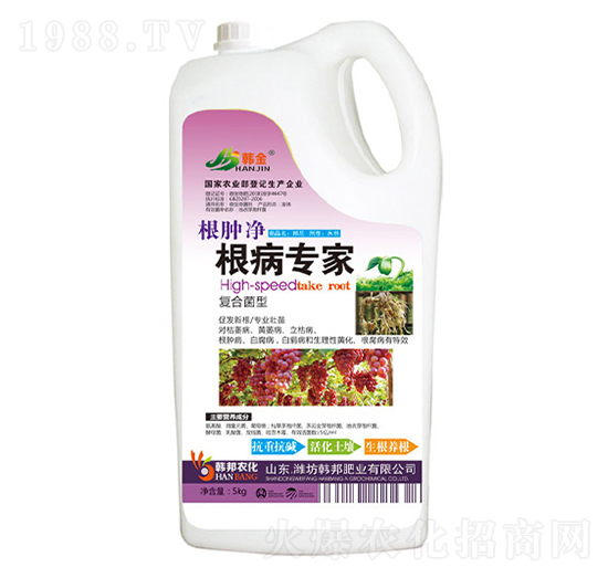 �ͺϾ��͸�������-���[��-�n��-�n��ʘI(y��)