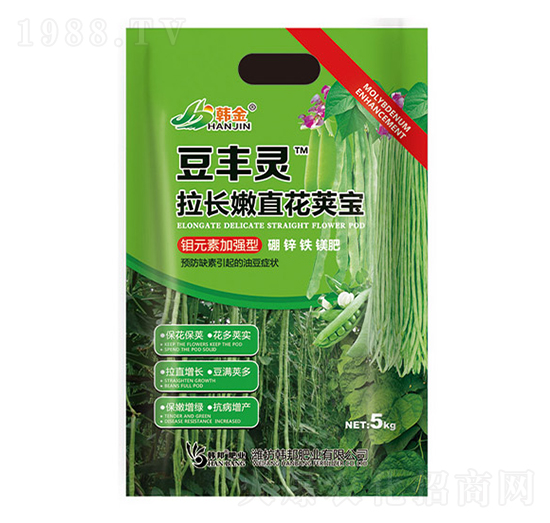 �fԪ�ؼӏ�(qi��ng)�����L��ֱ���v��-�n��-�n��ʘI(y��)