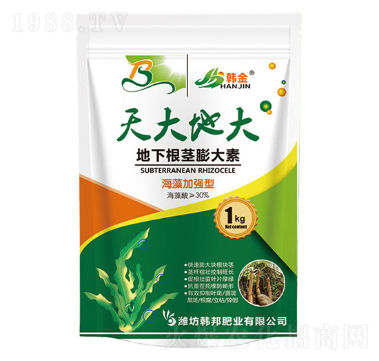 ����ӏ��͵��¸��o�����-���ش�-�n��-�n��ʘI(y��)