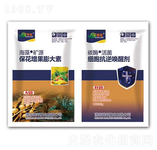 �������������-��(x��)�����憾�ф�-�n��-�n��ʘI(y��)