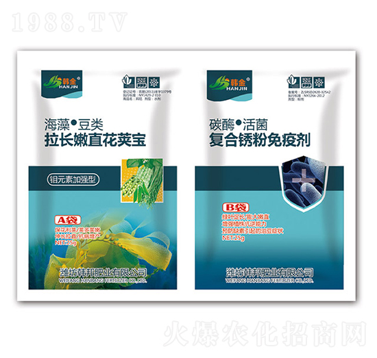 ���L(zh��ng)��ֱ��Ӣ��+��(f��)���P�����߄�-�n��-�n��ʘI(y��)