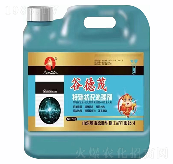 �����r̎�턩-�ȵ�ï-�W�׵�˹