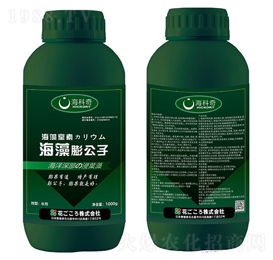 海藻膨公子-?？破? style=