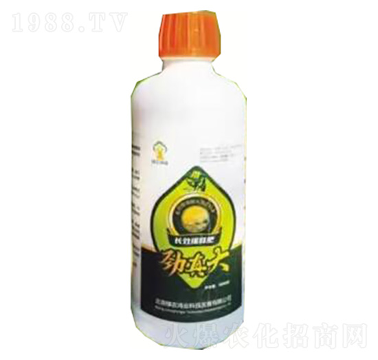 ������L(zh��ng)Ч��ጵ���-�G�r(n��ng)���I(y��)