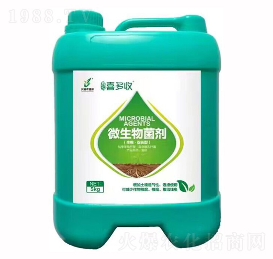 5kg΢�������-ϲ����-��(��i)�r(n��ng)ֲ��