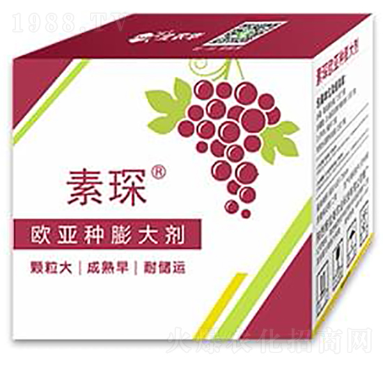 �W���N�����-���-���r(n��ng)�A