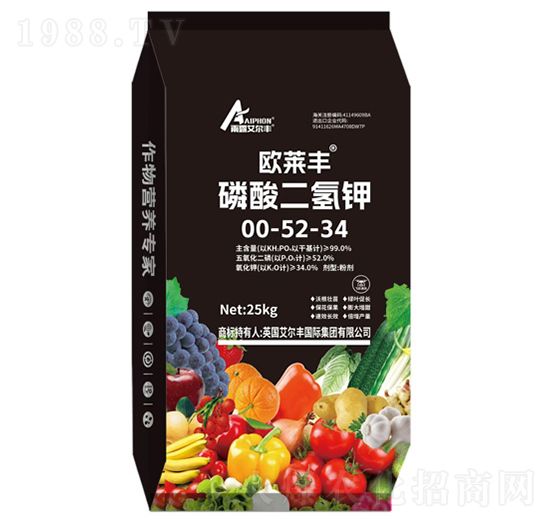 ��������-�W�R�S-��¶�����S