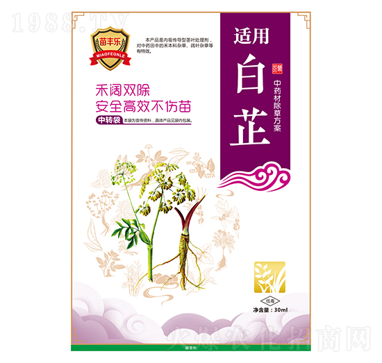 白芷中藥材除草方案-苗豐樂-苗樂康農業(yè)