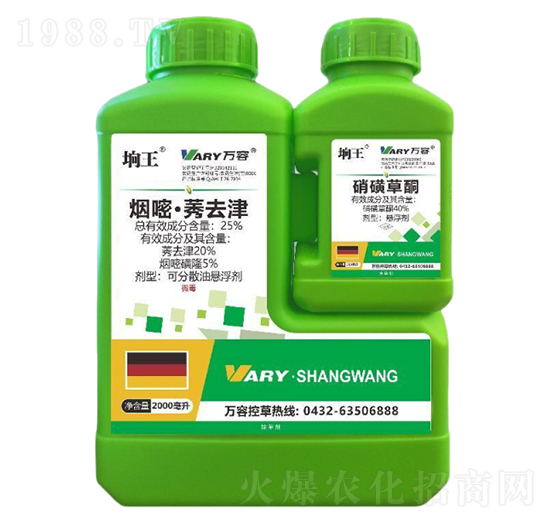 25%煙嘧·莠去津+40%硝磺草酮-坰王-萬容