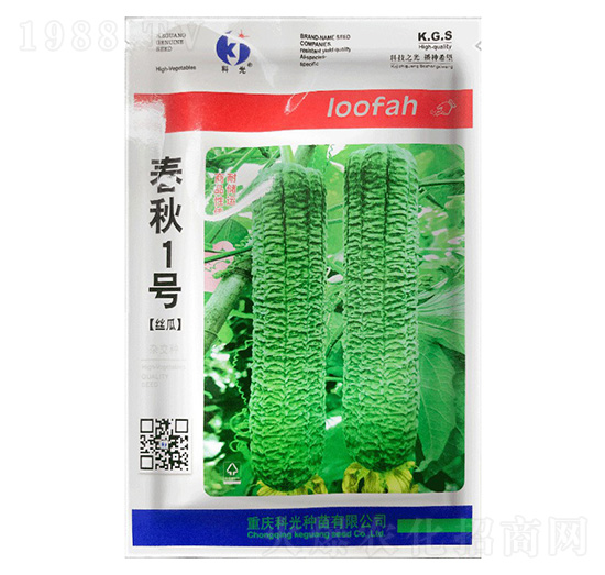 春秋1號絲瓜-科光種苗