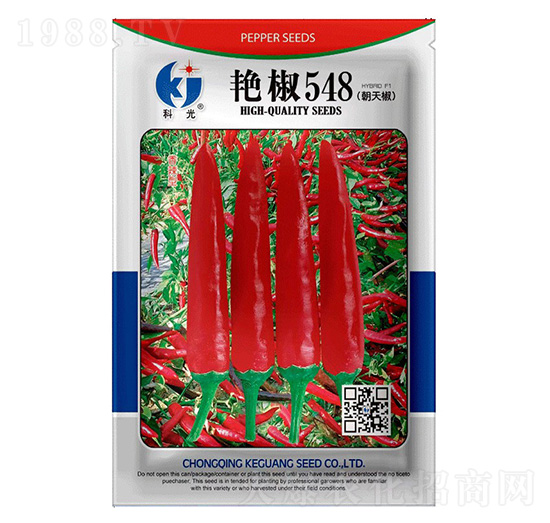 �G��548-�ƹ�N��