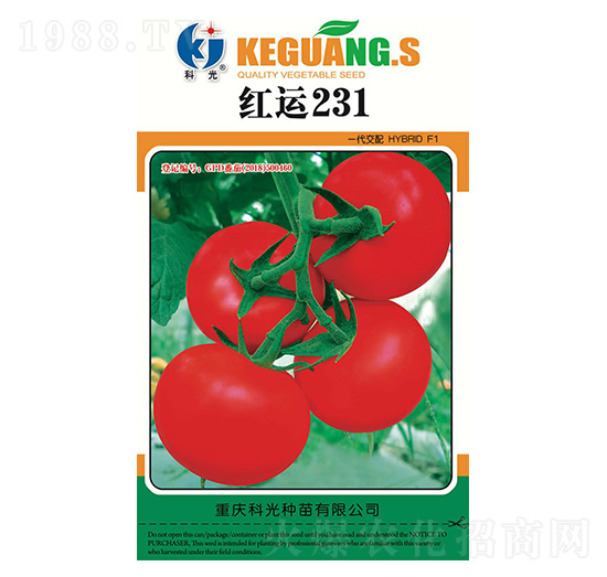 �t�\(y��n)231-�ƹ�N��