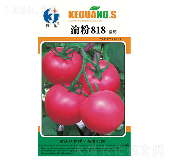 渝粉818-科光種苗