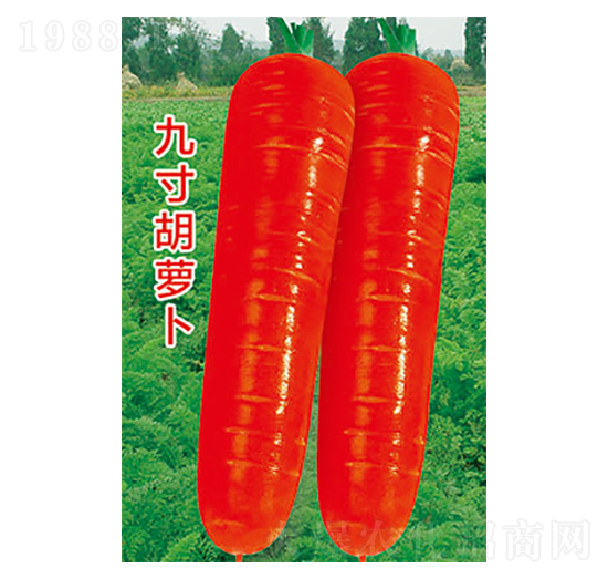 �}���N��-�Ŵ���}��-̫��(l��)�N�I(y��)