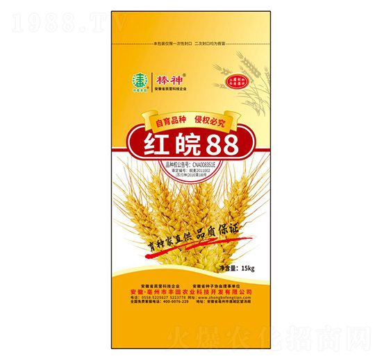 �t��88С���N��-�S���r�I(y��)