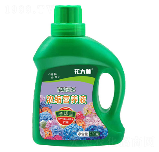 繡球型家庭園藝濃縮營(yíng)養(yǎng)液-花大帥-綠沃肥業(yè)