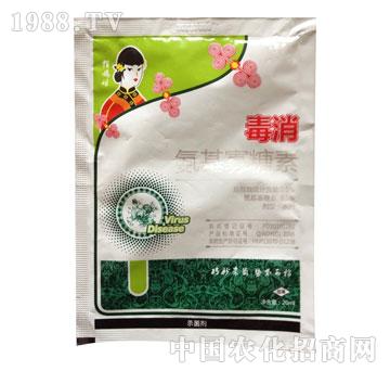 ��̩��-����-����������