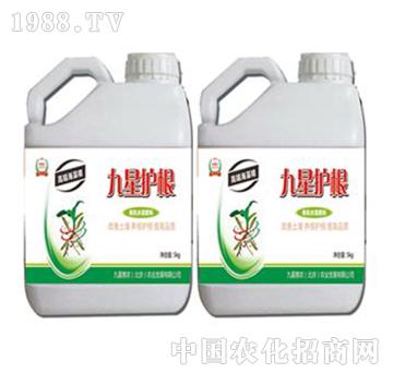 �����o��