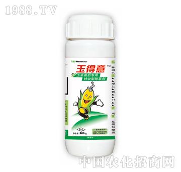 �����-̩�(y��ng)