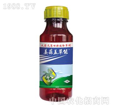 �����w����-̩�(y��ng)